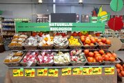 Landmarkt  vvbvanbree  4458 kopiëren