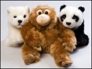 WWF  vvbvanbree  4487 kopiëren