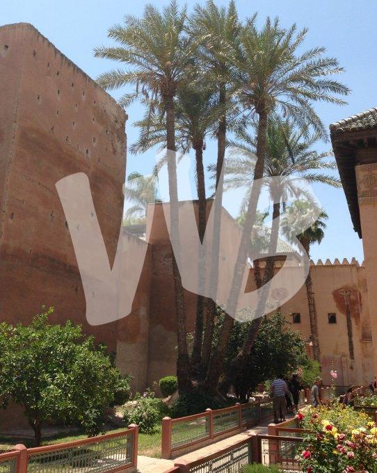  marrakech vvbvanbree  6033 kopiëren