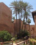  marrakech vvbvanbree  6033 kopiëren