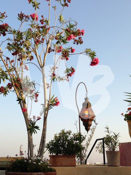  marrakech vvbvanbree  6040 kopiëren