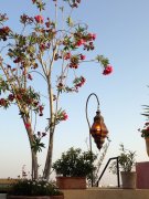  marrakech vvbvanbree  6040 kopiëren