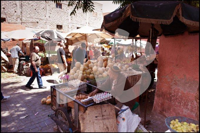  marrakech vvbvanbree  6064 kopiëren