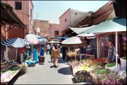  marrakech vvbvanbree  6106 kopiëren