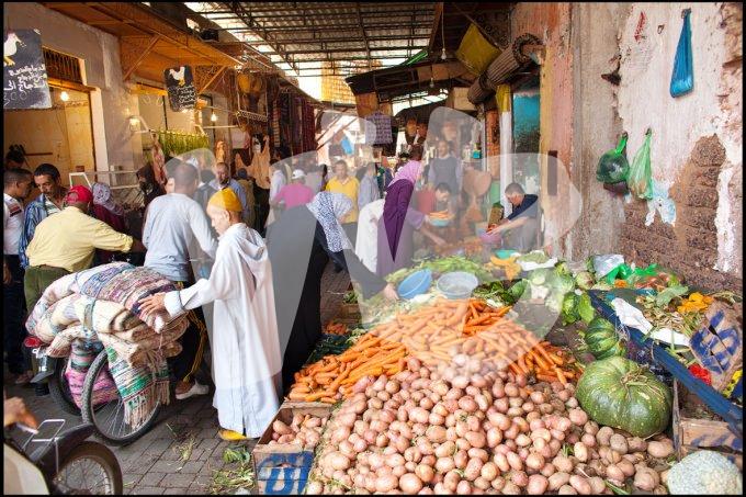  marrakech vvbvanbree  6111 kopiëren