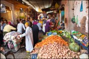  marrakech vvbvanbree  6111 kopiëren
