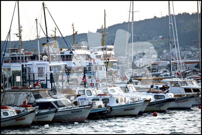  Turkije vvbvanbree  6334