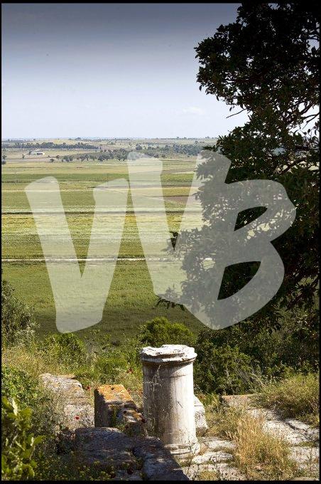  Turkije vvbvanbree  6342