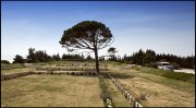  Turkije vvbvanbree  6369