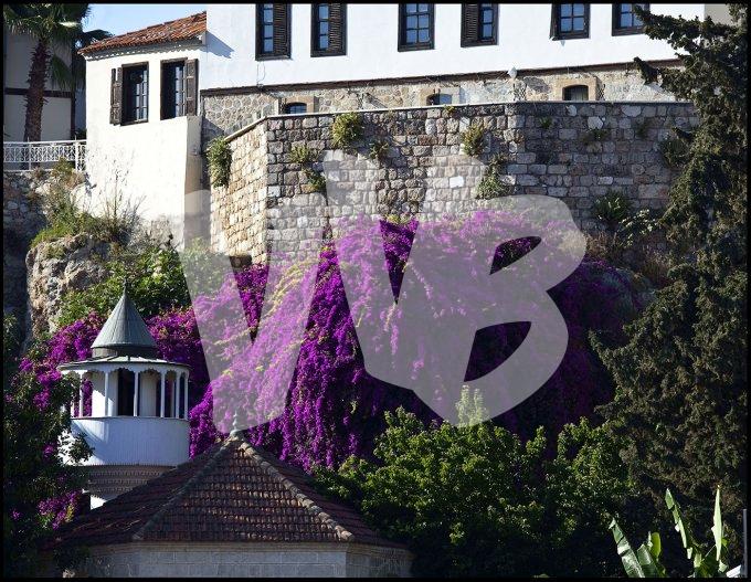  Turkije vvbvanbree  6480