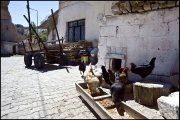  Turkije vvbvanbree  6581