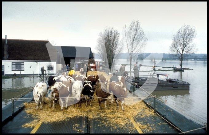 Hoog water  vvbvanbree  2280