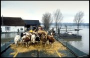 Hoog water  vvbvanbree  2280