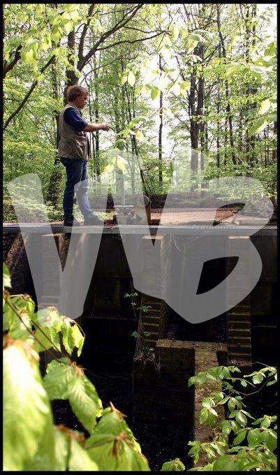Waterloopbos  vvbvanbree  2308