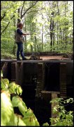Waterloopbos  vvbvanbree  2308