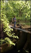 Waterloopbos  vvbvanbree  2312