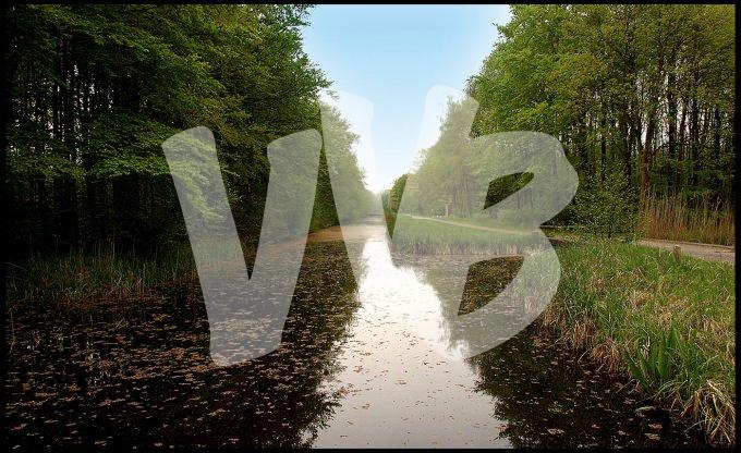 Waterloopbos  vvbvanbree  2316