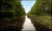Waterloopbos  vvbvanbree  2316