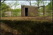 Waterloopbos  vvbvanbree  2318