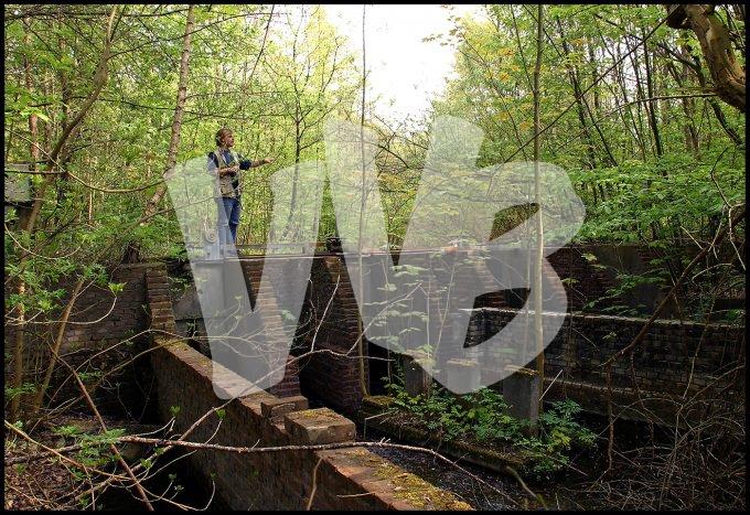 Waterloopbos  vvbvanbree  2322