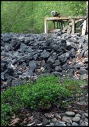Waterloopbos  vvbvanbree  2323