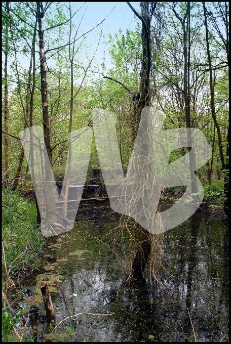 Waterloopbos  vvbvanbree  2324