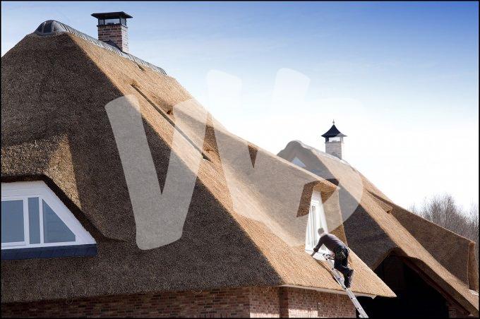 Schuytgraaf vvbvanbree   7050
