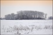 Schuytgraaf vvbvanbree   7090