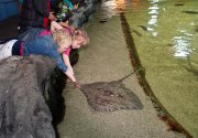 vvbvanbree dolfinarium 7263