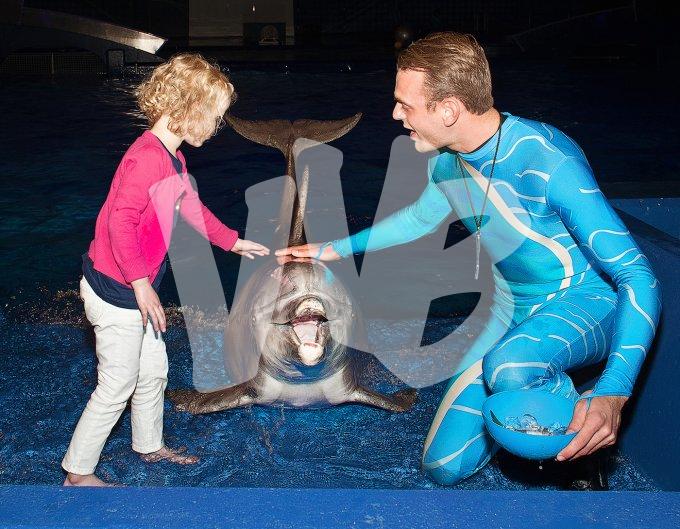 vvbvanbree dolfinarium 7264