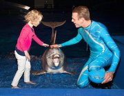 vvbvanbree dolfinarium 7264