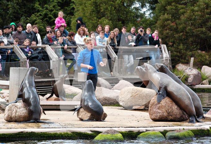 vvbvanbree dolfinarium 7269