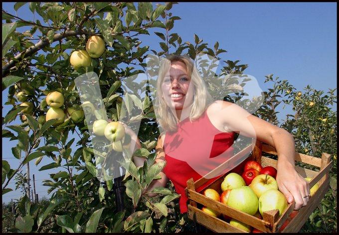 vvbvanbree pluk het zelf boerderij  7219