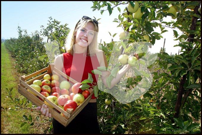 vvbvanbree pluk het zelf boerderij  7222