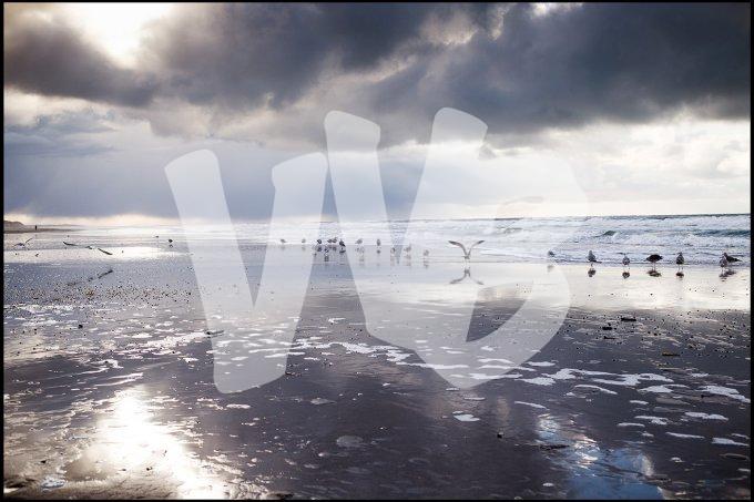 texel  vvbvanbree  2327