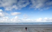 texel  vvbvanbree  2328