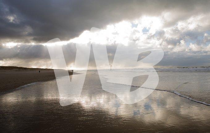 texel  vvbvanbree  2330
