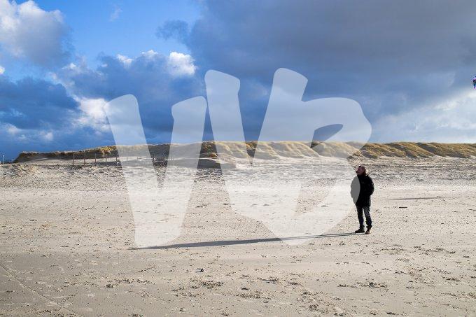 texel  vvbvanbree  2331