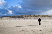 texel  vvbvanbree  2331