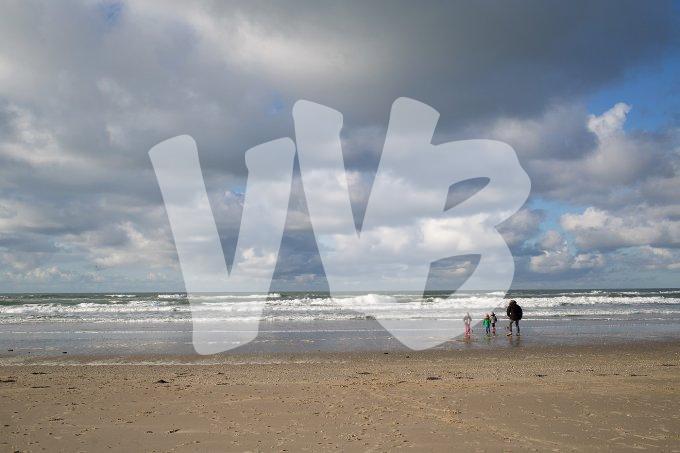 texel  vvbvanbree  2332