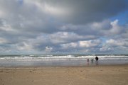 texel  vvbvanbree  2332