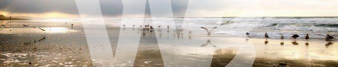texel  vvbvanbree  2334