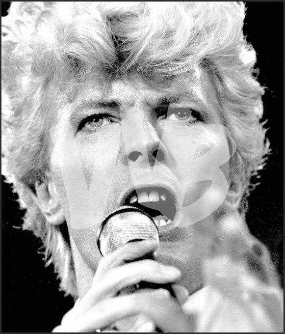 vvbvanbree david bowie     7364