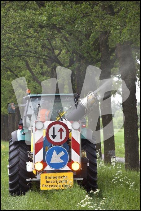 vvbvanbree rupsen bestrijding     7363