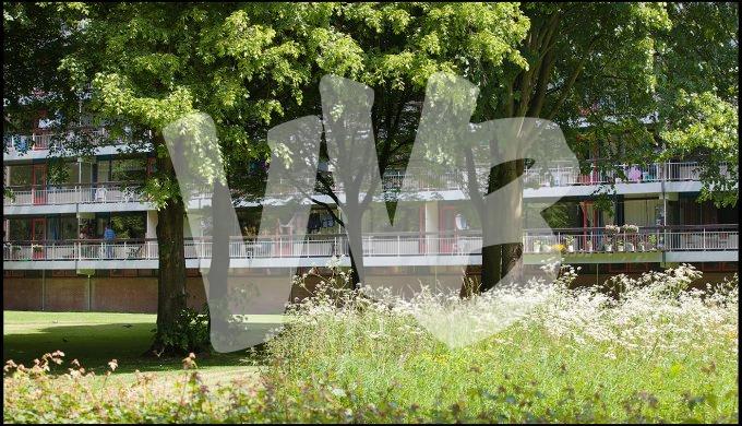 vvbvanbree Soesterveen    7354