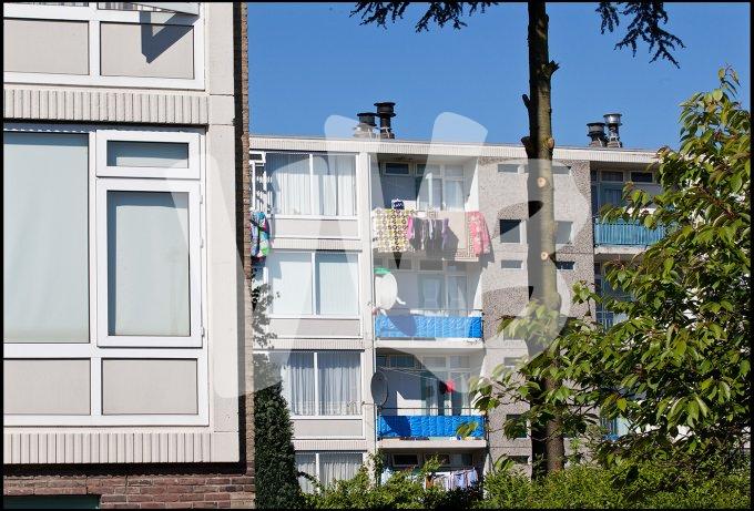 vvbvanbree utrecht kanaleneiland   7340