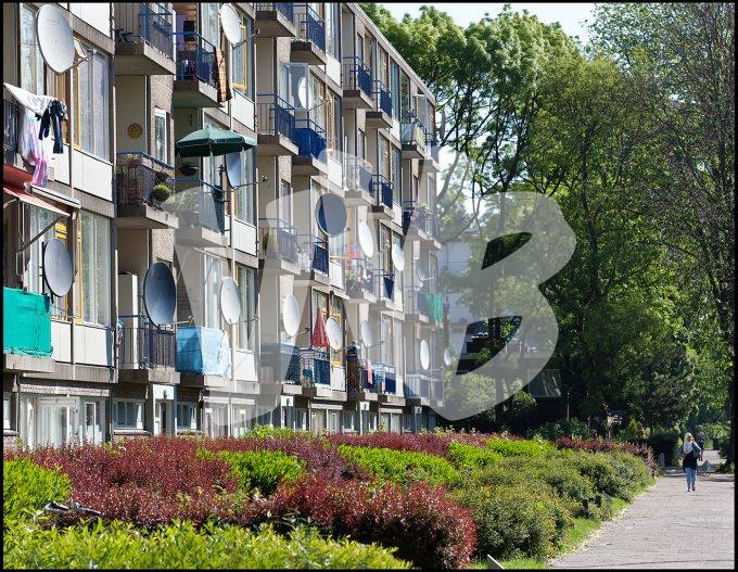 vvbvanbree utrecht kanaleneiland   7342
