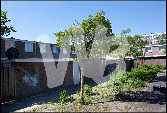 vvbvanbree utrecht kanaleneiland   7345