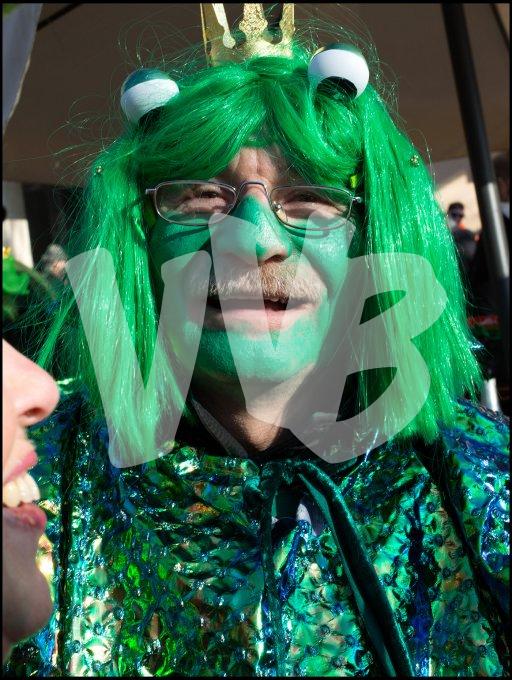 vvbvanbree carnaval   7512