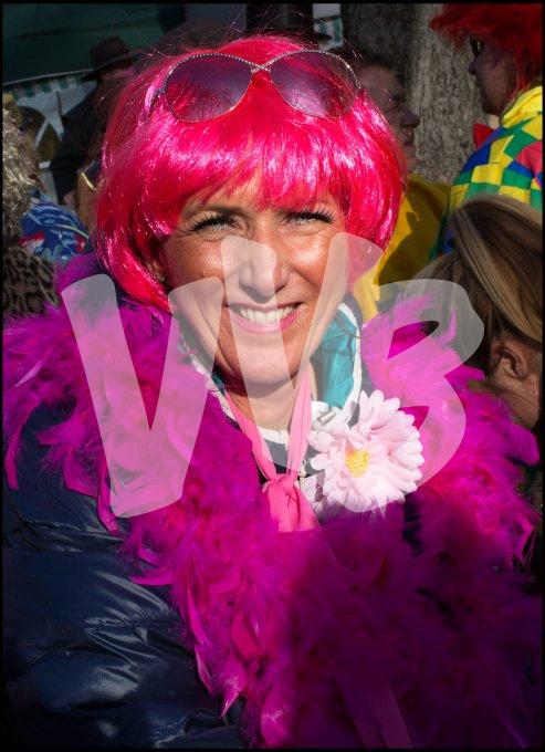 vvbvanbree carnaval   7513